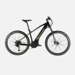 Intersport Nakamura E-Summit 730 VTTAE 2025
