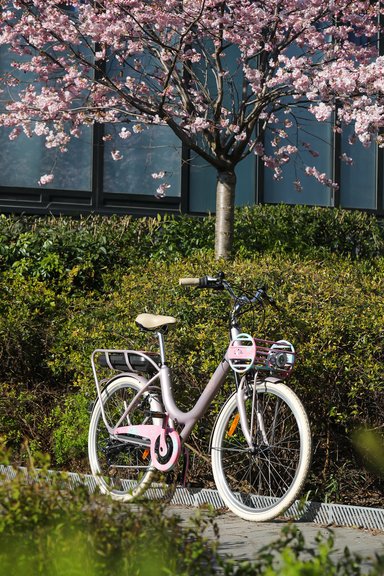 Un cadre en aluminium "champagne rosé"