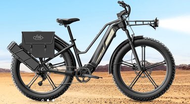 Fiido Titan vélo électrique