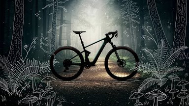 Gravel électrique tout-suspendu Salsa Wanderosa sur sentier d’aventure