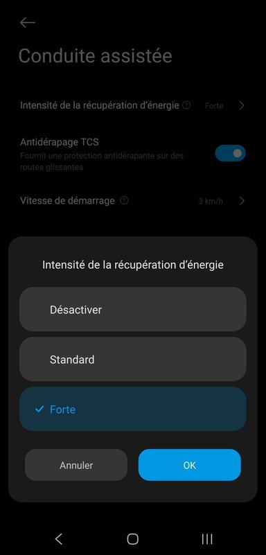 Xiaomi Electric Scooter 6 Pro application 5