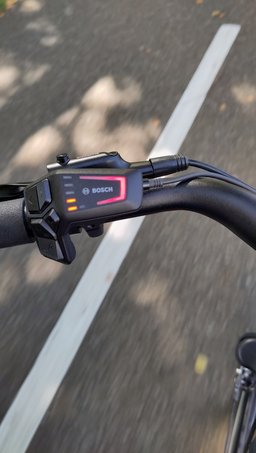 Commande moteur Bosch Winora Tria N8f e