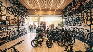 Intérieur d'un magasin de vélos rempli de vélos alignés et suspendus, illustration de notre enquête sur les faillites d'entreprises du vélo en France