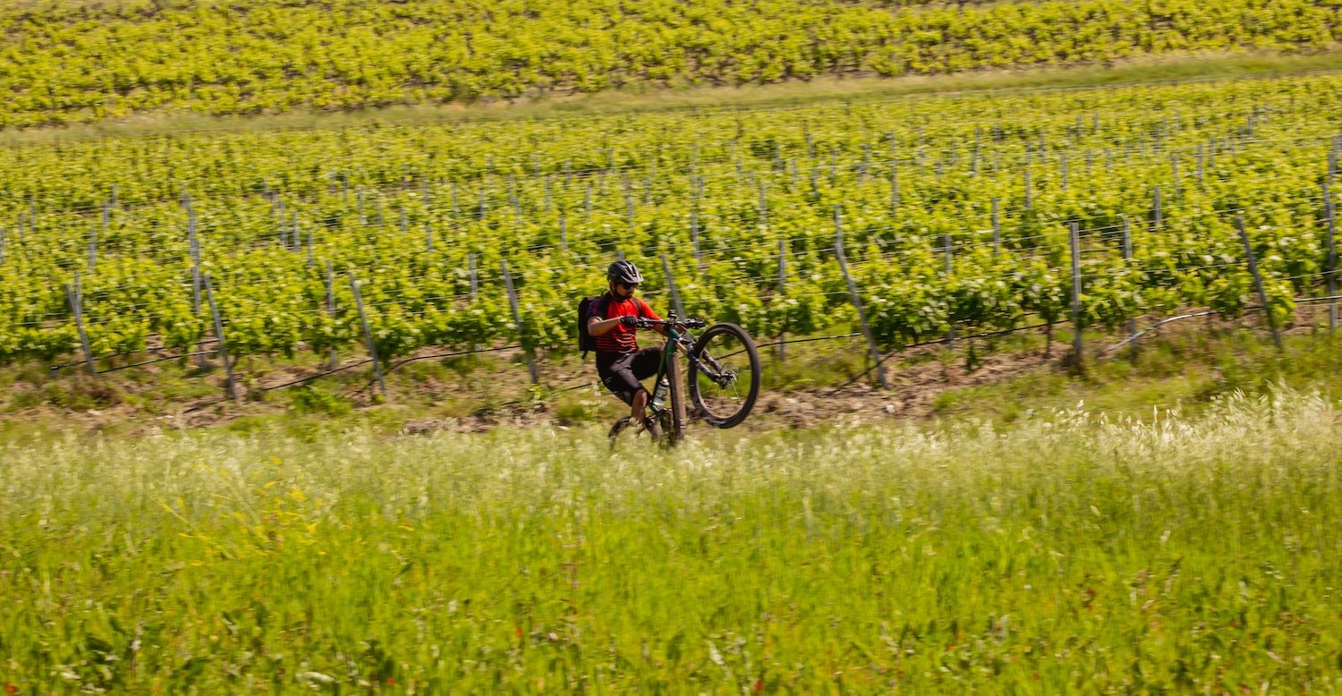 Le Moustache Samedi 29 Trail 9 se lève tout seul !