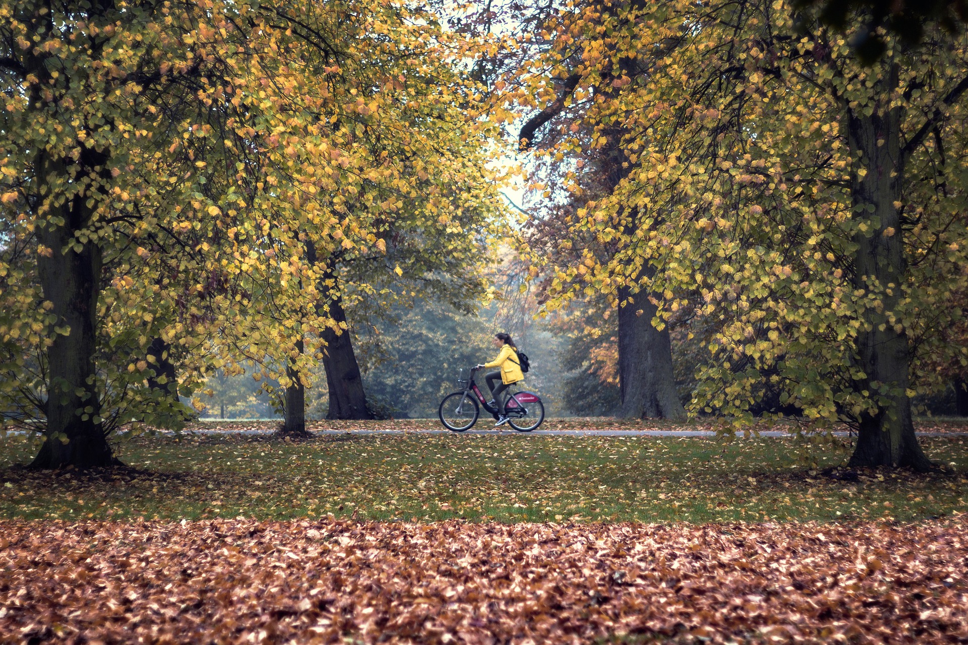 Femme sur un vélo ©Image by Edimode from Pixabay