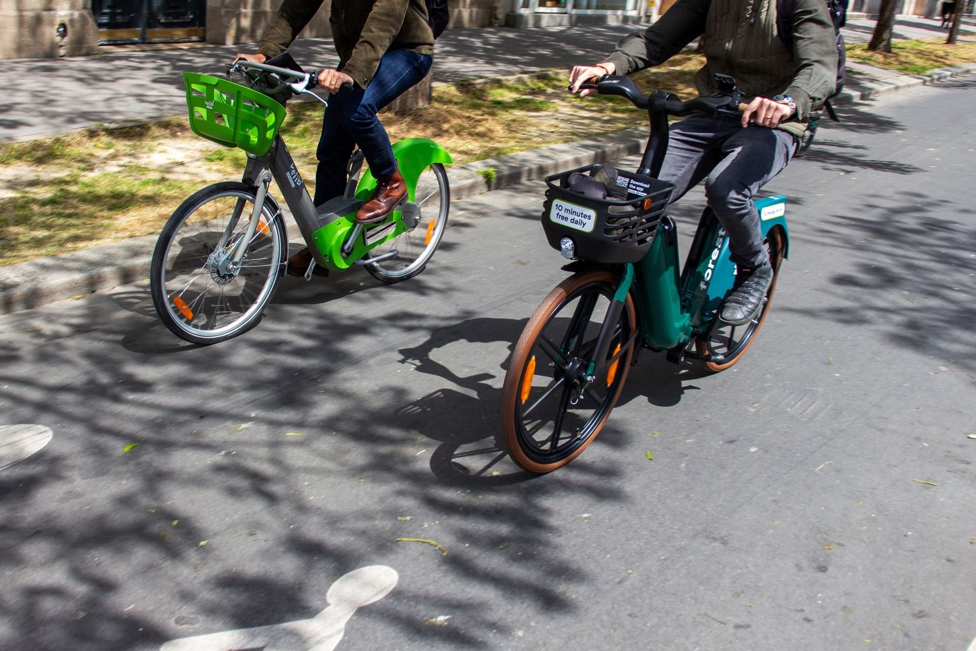 Forest Velib Paris