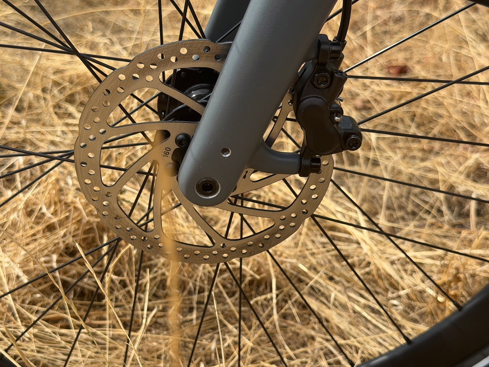 Étrier et disque de frein avant de 160 mm sur la fourche carbone du Lemmo One Collab.Ride Core