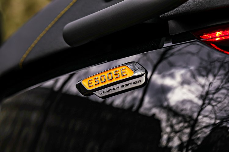 Segway E300SE badge