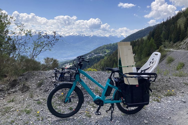 Vélo cargo électrique Benno Boost E 10D CX