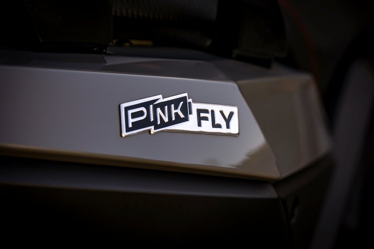 Logo Pink fly