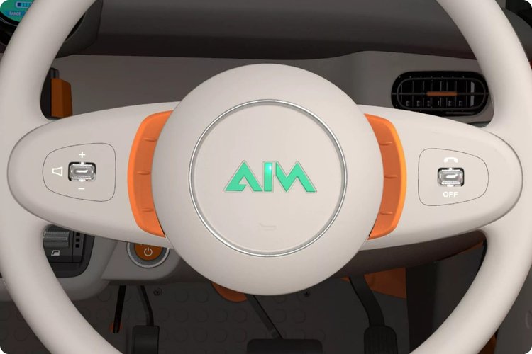 AIM EVM