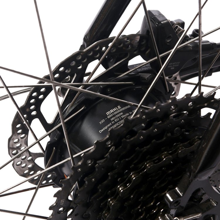 Pelago moteur Mahle
