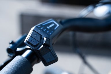 Commande assistance Bosch vélo électrique