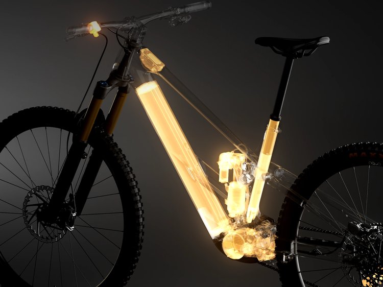Orbea Wild LT RS HMI