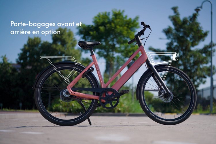 Gazelle Curb options porte-bagages