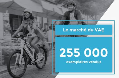 Plus de 250.000 vélos électriques vendus en France en 2017