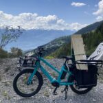 Vélo cargo électrique Benno Boost E 10D CX
