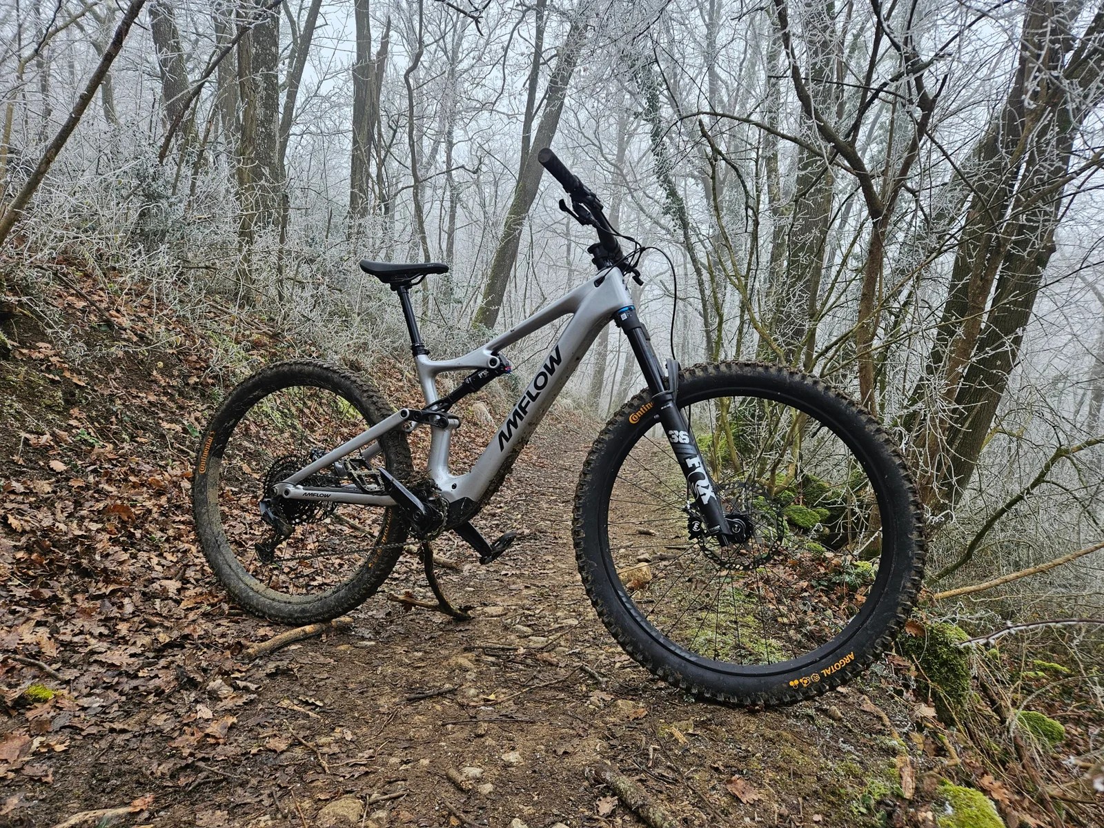 L'Amflow PL Carbon dans son habitat naturel © Amflow