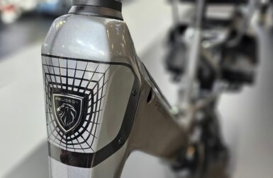 Reprise d’Angell, relance de Peugeot : que prépare Rebirth ?
